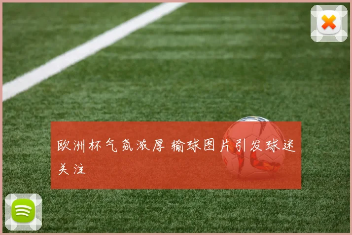欧洲杯气氛浓厚 输球图片引发球迷关注