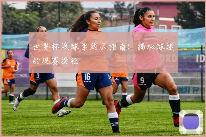 世界杯滚球票购买指南:揭秘球迷的观赛捷径