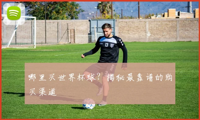 哪里买世界杯球?揭秘最靠谱的购买渠道