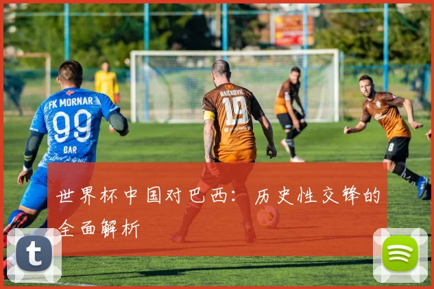 世界杯中国对巴西:历史性交锋的全面解析