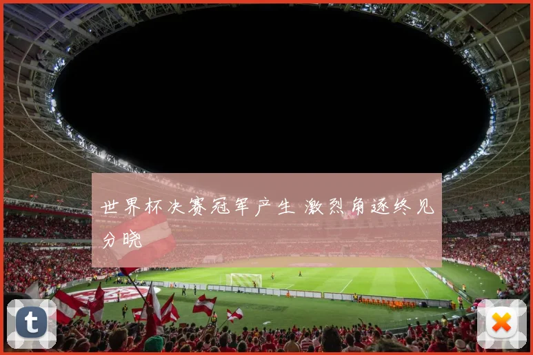 世界杯决赛冠军产生 激烈角逐终见分晓