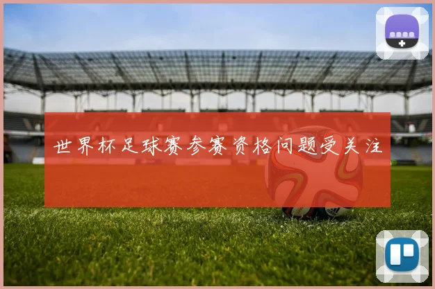 世界杯足球赛参赛资格问题受关注