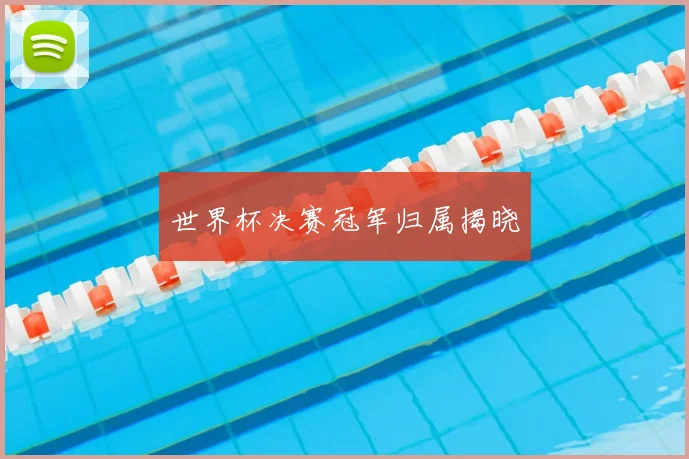 世界杯决赛冠军归属揭晓