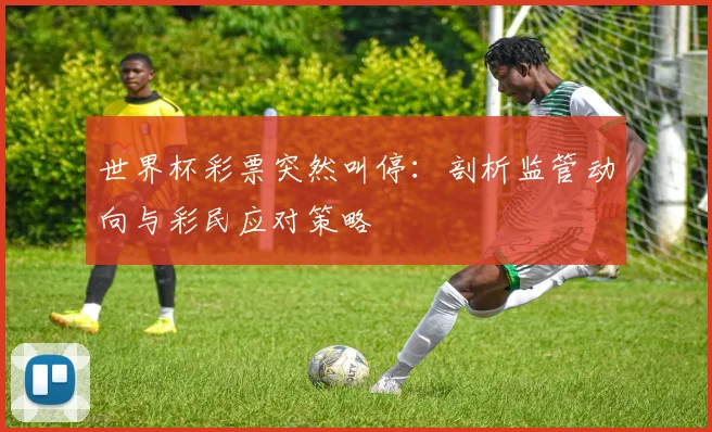 世界杯彩票突然叫停:剖析监管动向与彩民应对策略