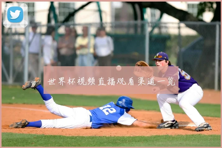 世界杯视频直播观看渠道一览