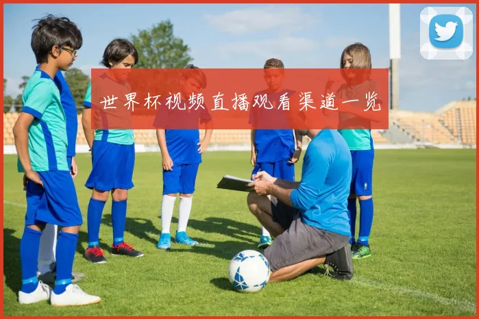 世界杯视频直播观看渠道一览