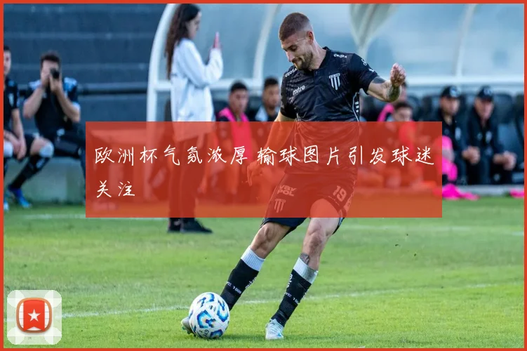 欧洲杯气氛浓厚 输球图片引发球迷关注