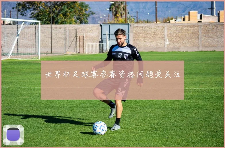 世界杯足球赛参赛资格问题受关注