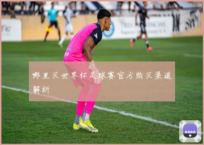 哪里买世界杯足球赛官方购买渠道解析