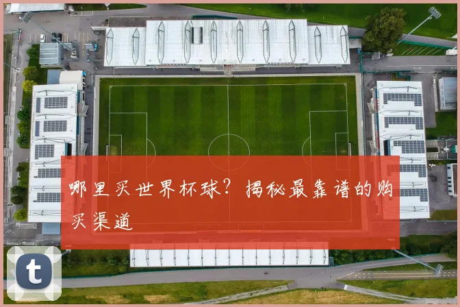 哪里买世界杯球？揭秘最靠谱的购买渠道