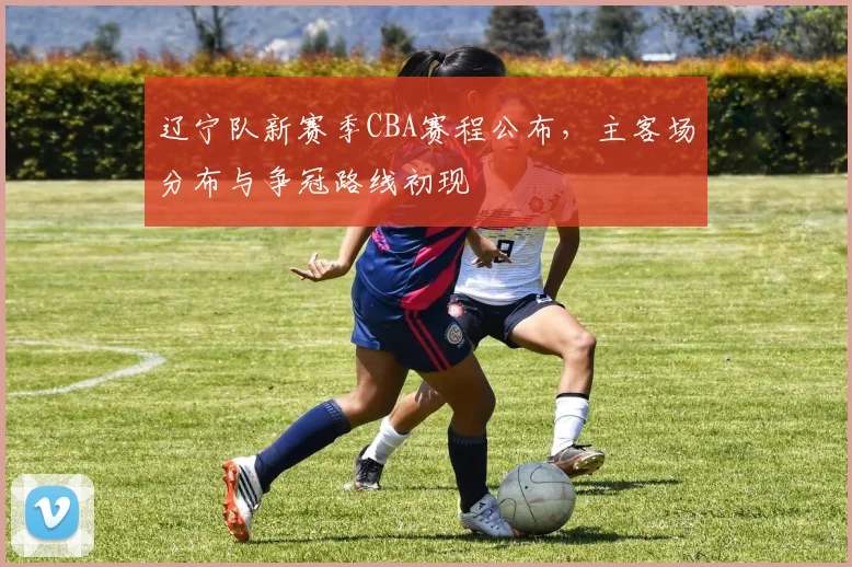 辽宁队新赛季CBA赛程公布,主客场分布与争冠路线初现