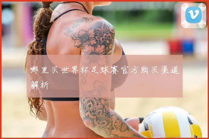 哪里买世界杯足球赛官方购买渠道解析