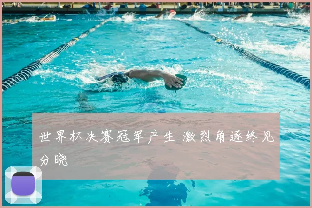 世界杯决赛冠军产生 激烈角逐终见分晓
