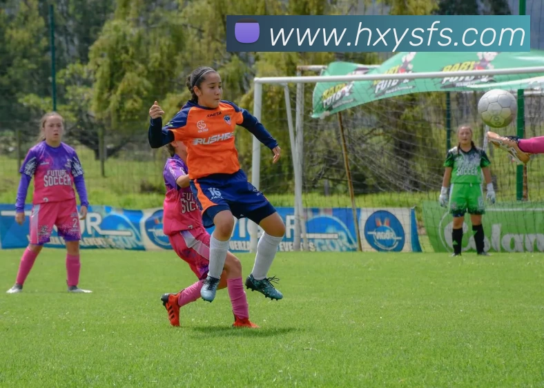 华体会appAPP 封面图